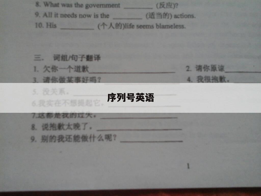 序列号英语