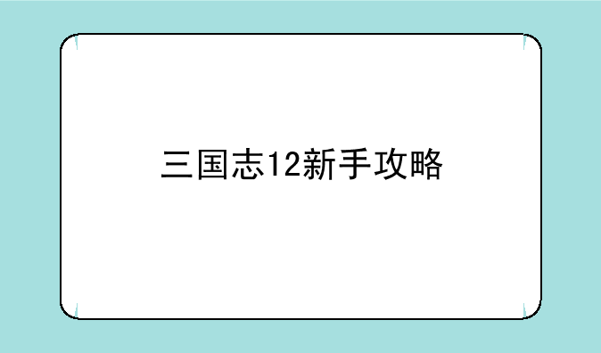 三国志12新手攻略