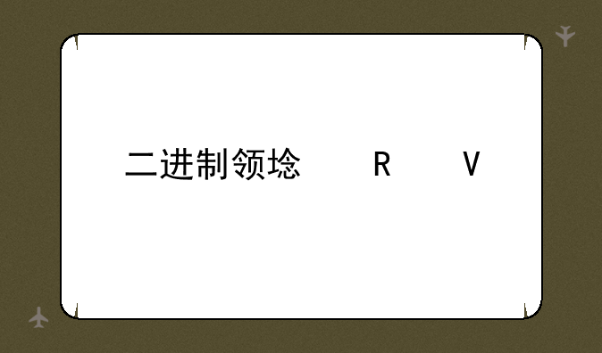 二进制领域攻略