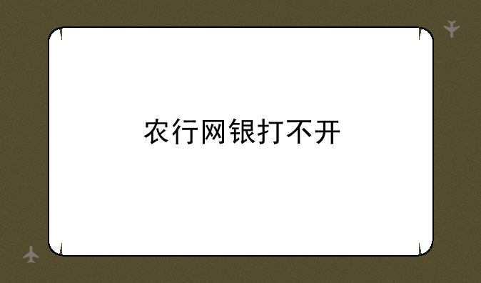 农行网银打不开