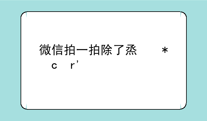 微信拍一拍除了烟花还有什么