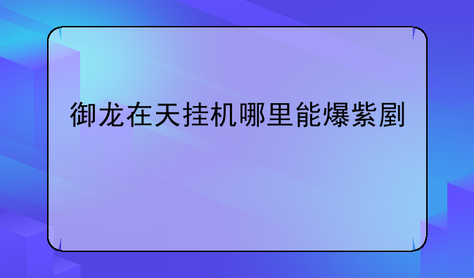 御龙在天挂机哪里能爆紫副手