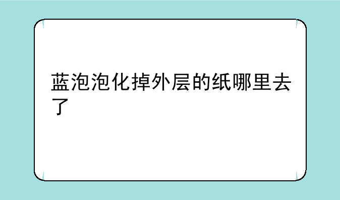 蓝泡泡化掉外层的纸哪里去了