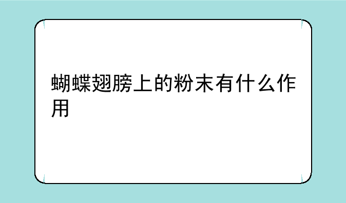 蝴蝶翅膀上的粉末有什么作用