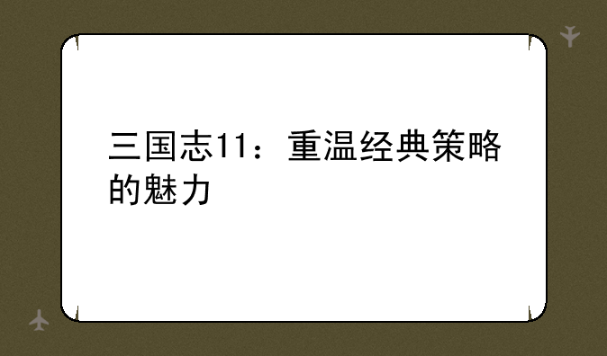 三国志11：重温经典策略的魅力