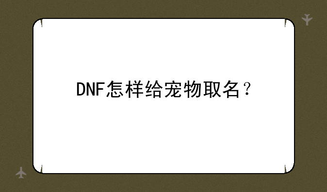 DNF怎样给宠物取名？