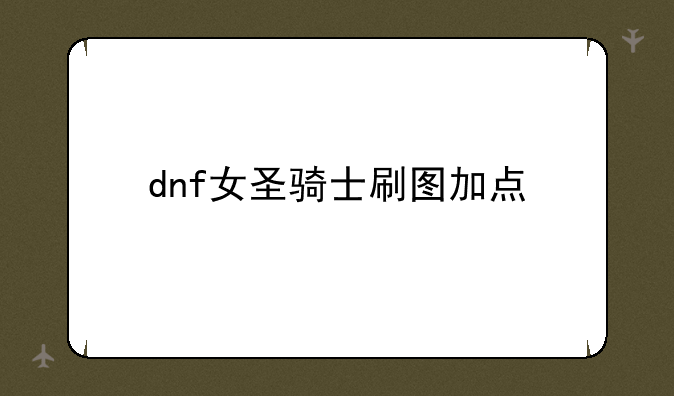 dnf女圣骑士刷图加点