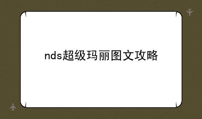 nds超级玛丽图文攻略