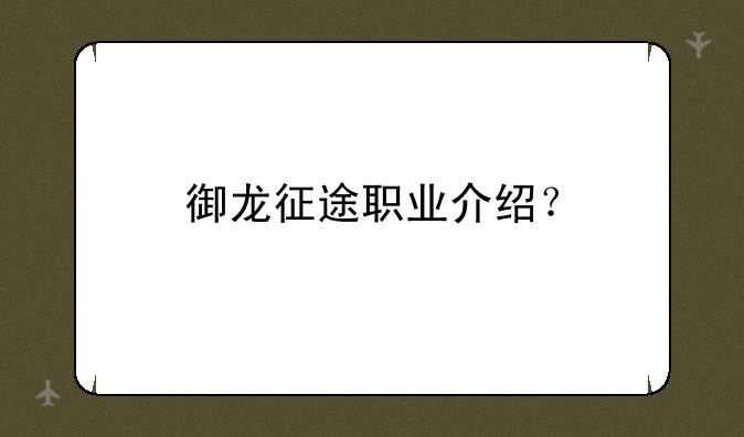 御龙征途职业介绍？