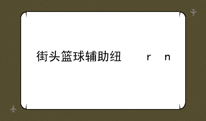 街头篮球辅助线地图