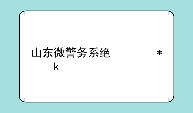 山东微警务系统维护多久