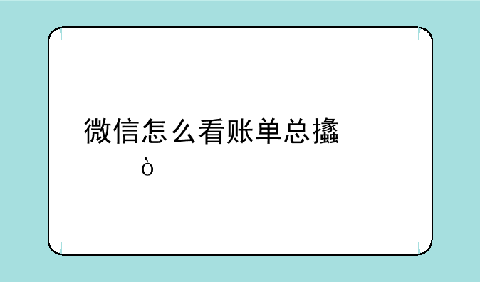 微信怎么看账单总支出？