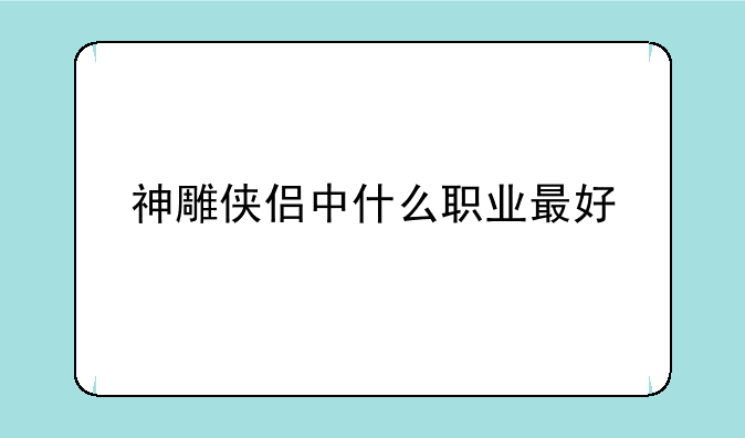 神雕侠侣中什么职业最好