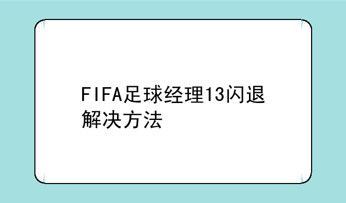 FIFA足球经理13闪退解决方法