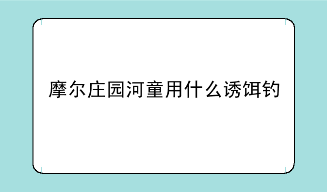 摩尔庄园河童用什么诱饵钓