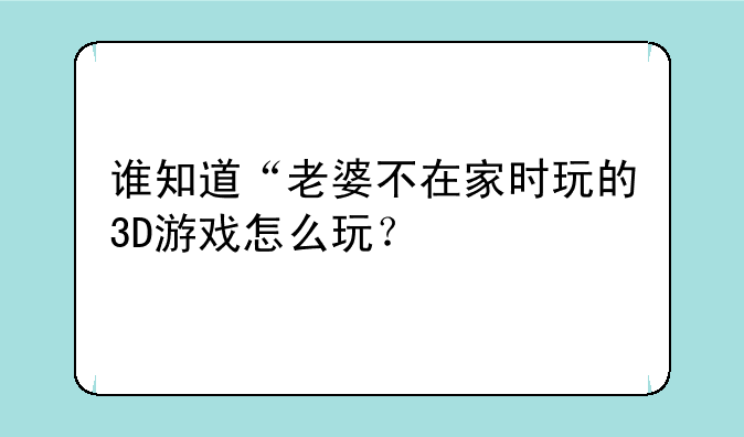 谁知道“老婆不在家时玩的3D游戏怎么玩？