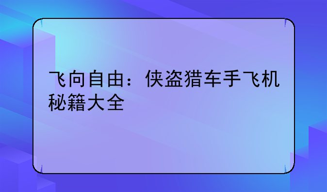 飞向自由：侠盗猎车手飞机秘籍大全