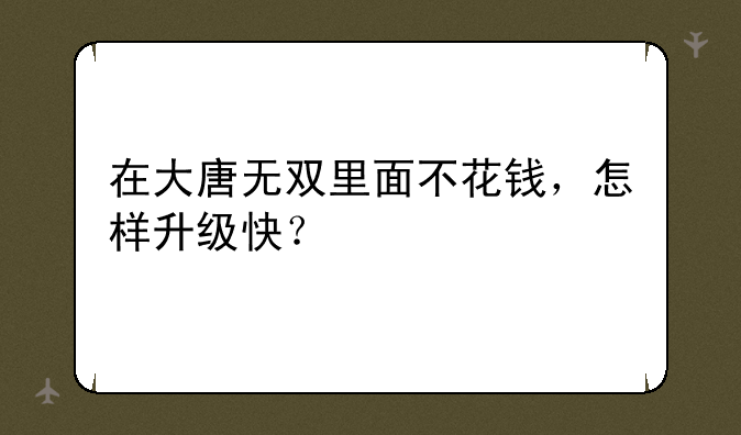 在大唐无双里面不花钱，怎样升级快？