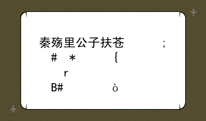 秦殇里公子扶苏怎么加属性点最合适？