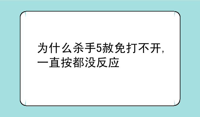 为什么杀手5赦免打不开,一直按都没反应