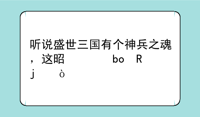 听说盛世三国有个神兵之魂，这是干嘛用的？