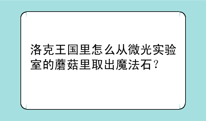 洛克王国里怎么从微光实验室的蘑菇里取出魔法石？