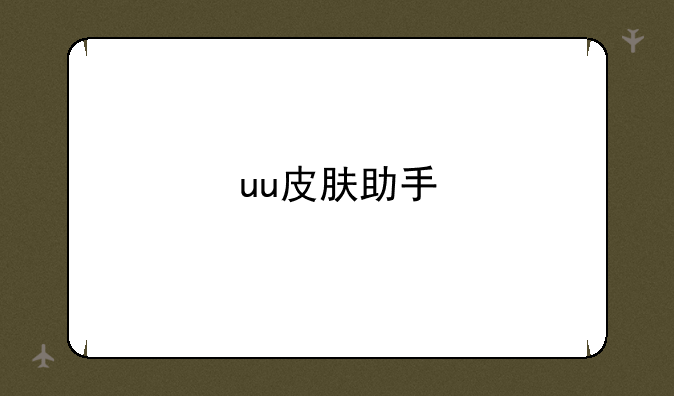 uu皮肤助手