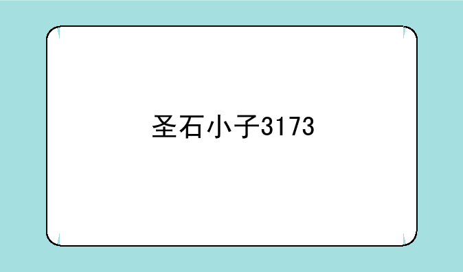 圣石小子3173