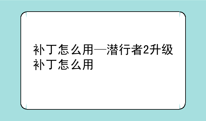 补丁怎么用—潜行者2升级补丁怎么用