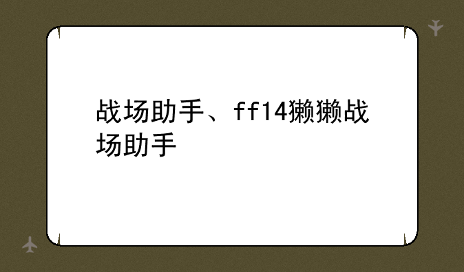 战场助手、ff14獭獭战场助手