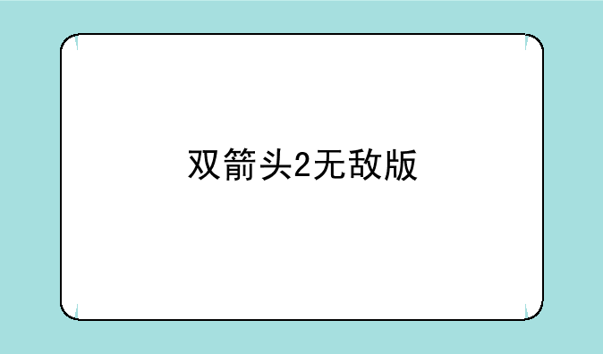 双箭头2无敌版